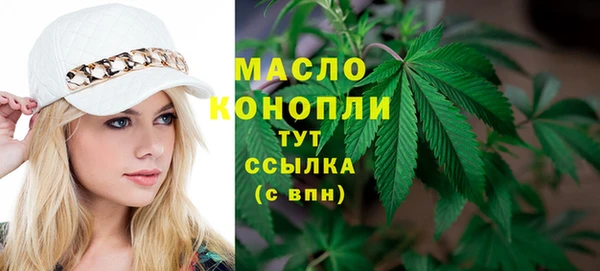 гашик Дмитриев
