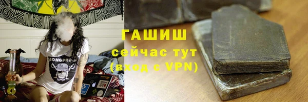 стаф Дмитровск