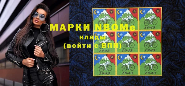 стаф Дмитровск