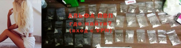 стаф Дмитровск