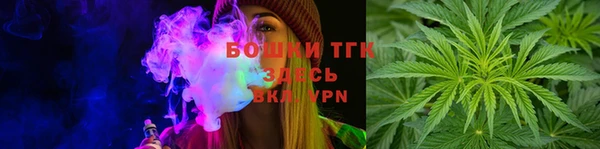 стаф Дмитровск