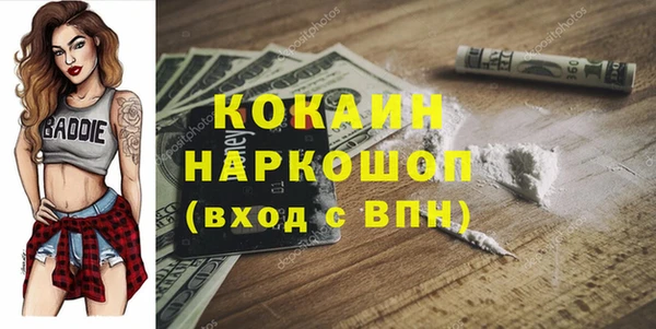 гашик Дмитриев