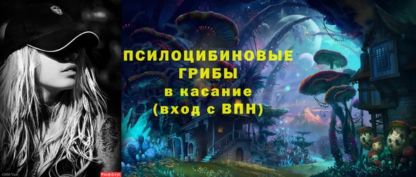 твердый Дмитров