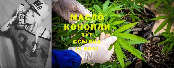 гашик Дмитриев