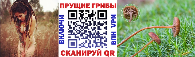 Галлюциногенные грибы прущие грибы Тихорецк